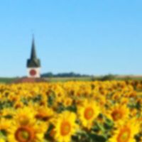 Hier finden Sie unsere Referenzseiten