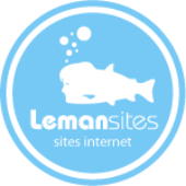 Lemansites