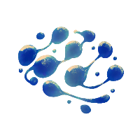 France Neurofeedback